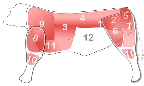 Diagram of primal grass-fed beef sections our butcher will prepare your order from.